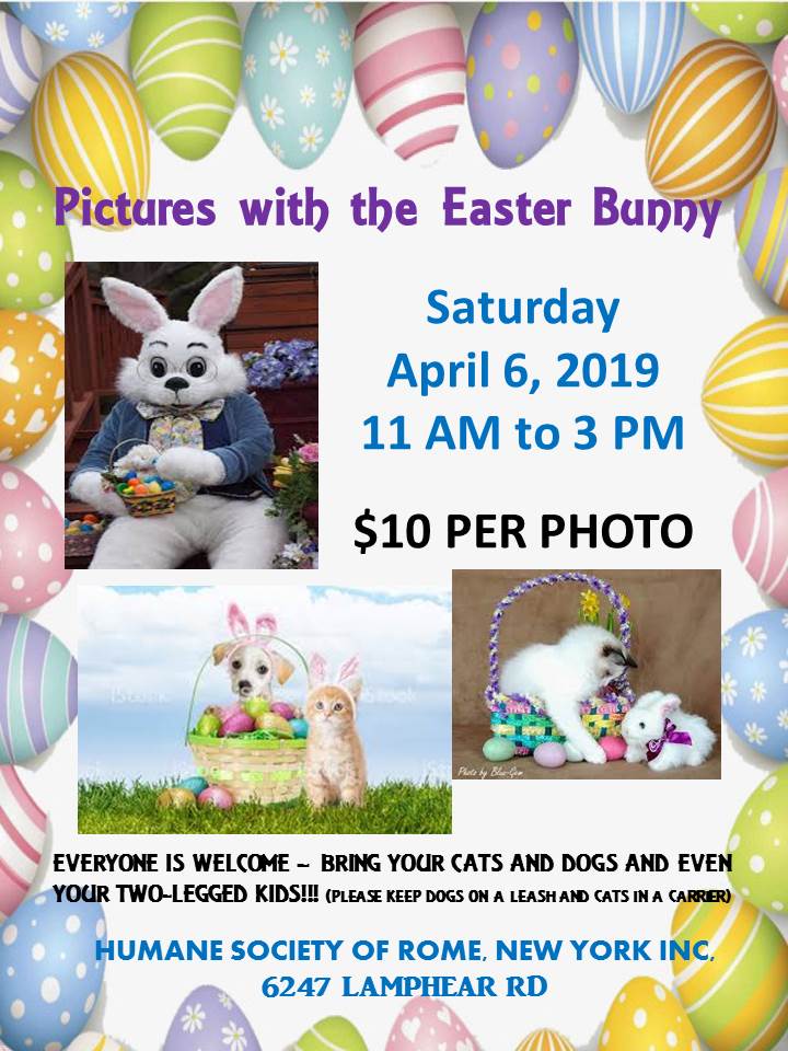 Pictures with the Easter Bunny – Humane Society of Rome