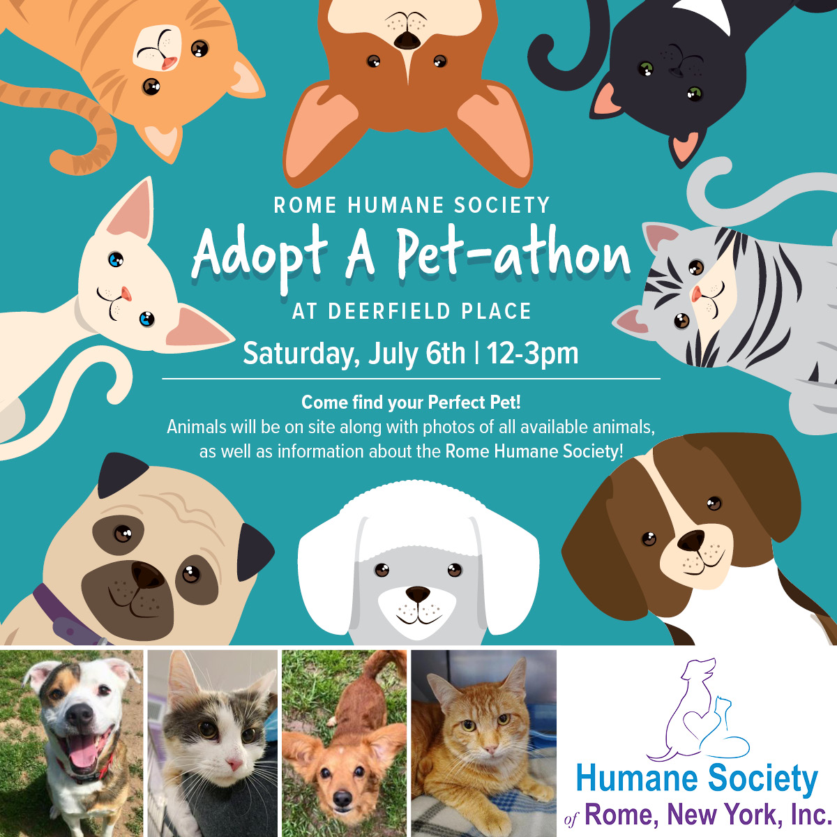 Deerfield Place Adopt A Pet-athon – Humane Society of Rome